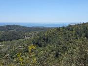 Oportunidad única: Finca rústica con vistas al mar y la...