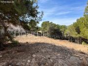 Oportunidad única para comprar una o dos parcelas de...