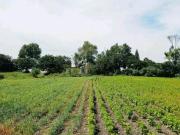 Oportunidad única para invertir!