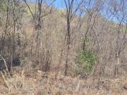 OPORTUNIDAD UNICA TERRENO DESARROLLAR CON VOLUMEN...