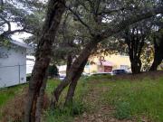 Oportunidad única. Terreno en venta en Loma de valle...