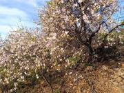 ¡Oportunidad única! Terreno rústico de 2175m2 en venta...