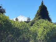 Ultimas Unidades! Parcelas en Relún!