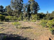 Oportunidad: Vende terreno en los pinos