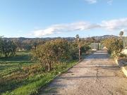 OPORTUNIDAD VENTA CASA CAMPO CON FRUTALES EN ESTACION DE...