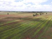 OPORTUNIDAD VENTA DE RANCHO LOTE RUSTICO EN ACATIC, JALISCO OPORTUNIDAD VENTA DE RANCHO LOTE RUSTICO EN ACATIC, JALISCO