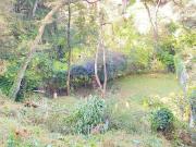 OPORTUNIDAD! VENTA DE TERRENO EN CHILUCA