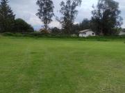 OPORTUNIDAD VENTA DOS LOTES DE 1000 m² EN PUEMBO CERCA A...
