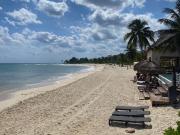 Oportunidad. Venta. Remate departamento 4 recámaras en...