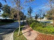 !OPORTUNIDAD! ZONA REAL 500 mts.2