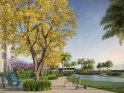 Oportunidade: Apartamento de 4 suítes, na Barra,...