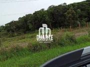 Oportunidade Área em Itanhaem com ocupação mista