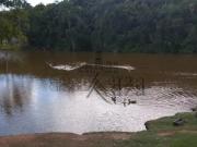 Oportunidade Casa em Condomínio Mirante do Vale 4 Suítes...