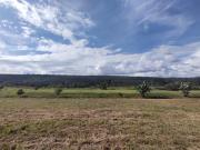 Oportunidade! Chácara 15 Hectares