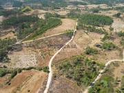 Oportunidade de Investimento 2 Terrenos Rústicos