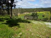 Oportunidade de Investimento no Alentejo Litoral 131 ha...