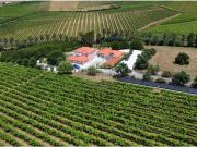 Oportunidade de Investimento: Quinta Vinícola de Luxo...