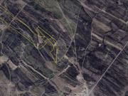 Oportunidade de Investimento Rural Conjunto de 3...