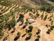 Oportunidade de Investimento | Turismo Rural | 60...