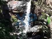 OPORTUNIDADE DE NEGÓCIO FAZENDA CENTENÁRIA A VENDA NO...