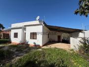 Oportunidade em Salir: Casa com Terreno Amplo e Anexo