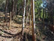 Natureza, Tranquilidade e Segurança!