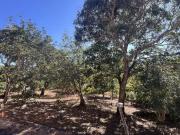 Oportunidade Ãºnica! ChÃ¡cara rural