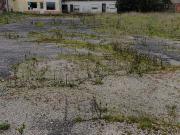 Oportunidade nica em Alenquer: Casa para Recuperar em Lisboa