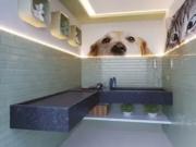 OPORTUNIDADE para REPASSE possui 164 metros quadrados...