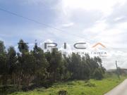 OPORTUNIDADE Terreno com viabilidade para...