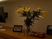 Oportunidade única: Apartamento à venda em Pinheiros,...