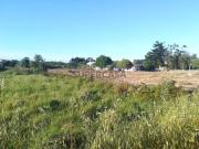 Oportunidade única de Investimento: Terreno Industrial...