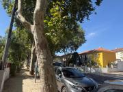Oportunidade Única em Benfica! Moradia V6+1 com Quintal,...