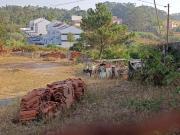 ✨ Oportunidade Única em Caneças! ✨