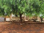 Oportunidade Única em PLANALTINA GO | Tipo: Casa |...