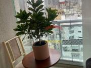 Oportunidade única Estúdio com 1 dormitório 1 suite vaga...