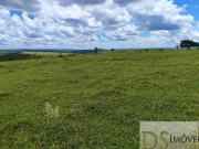 Oportunidade única! Fazenda de 294 alqueires à venda em...