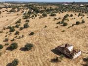 Oportunidade Única no Coração do Alentejo Monte com...