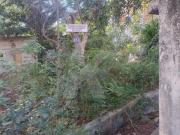 Oportunidade Única no Tucuruvi: Terreno Espaçoso e...