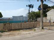 Oportunidade Única para Construtoras: 3 Terrenos C