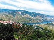 Oportunidade Única: Propriedade com Vistas Deslumbrantes...