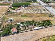 Oportunidade Única: Quinta dos Pinheiros em Palmela