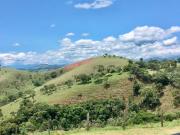 Oportunidade Única! Sítio Encantador em Cunha SP