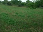 Oportunidade! Vende se uma linda fazenda de 9 alqueireis