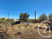 Opoul Périllos Vente Terrain 66