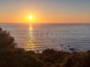 Opportunité à saisir