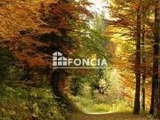 Opportunité appartement 139 m² avec 5 chambres