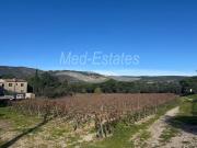 Opportunité d'investissement: maison sur terrain...