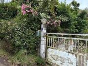 Opportunité: Maison 130 m² La Plaine des Cafres !