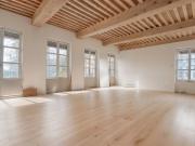 Opportunité Rare à la Croix Rousse: Plateau à Aménager...